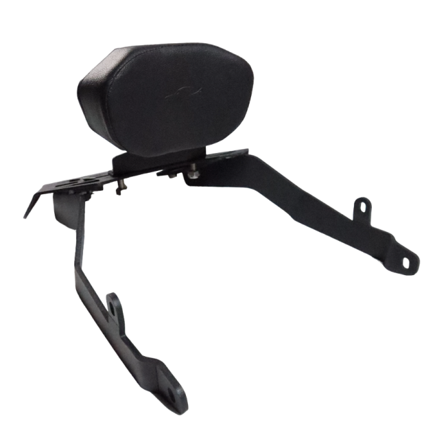 CNC Carrier Plate with backrest for Apache RTR 310