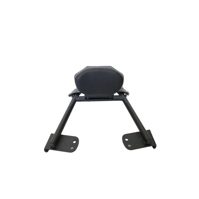 Plate Carrier with Backrest for KTM Duke 200/390 BS4