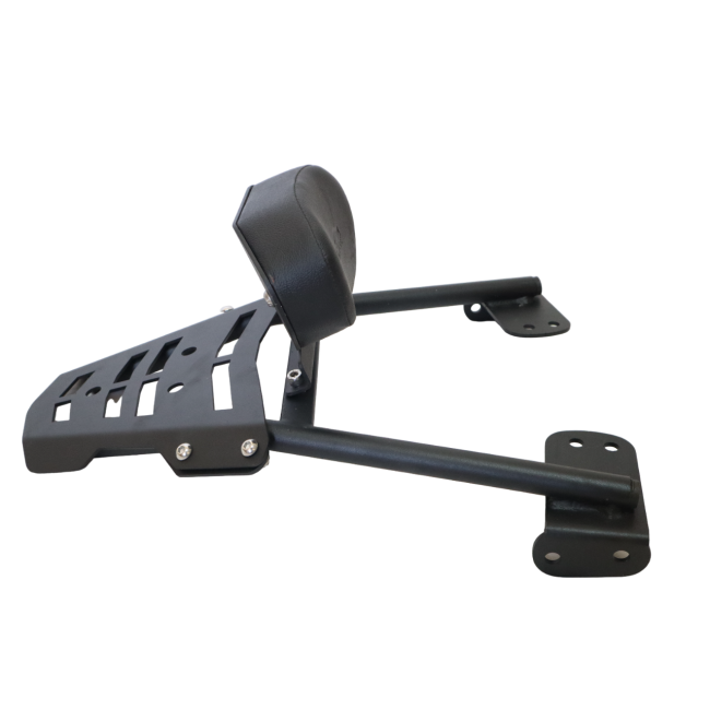 Plate Carrier with Backrest for KTM Duke 200/390 BS4