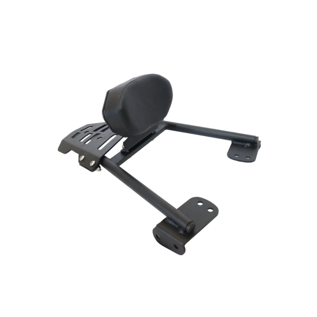 Plate Carrier with Backrest for KTM Duke 200/390 BS4