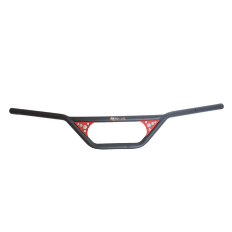 HANDLE WITH PLATE FOR XPULSE 200