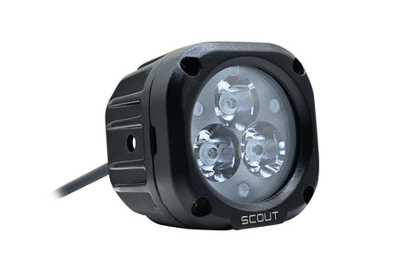 Scout
