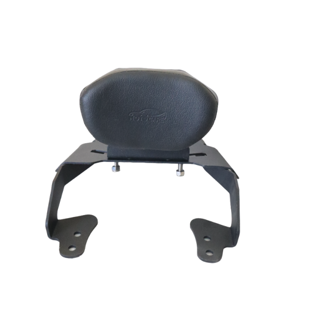 CNC Carrier Plate with Backrest for Bajaj Pulsar N160 F25 2
