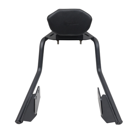 PIPE CARRIER WITH BACKREST FOR HARLEY X440T