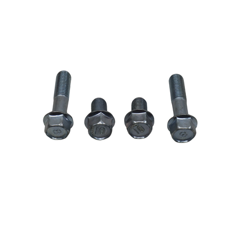 PIPE CARRIER WITH BACKREST FOR HARLEY X440T
