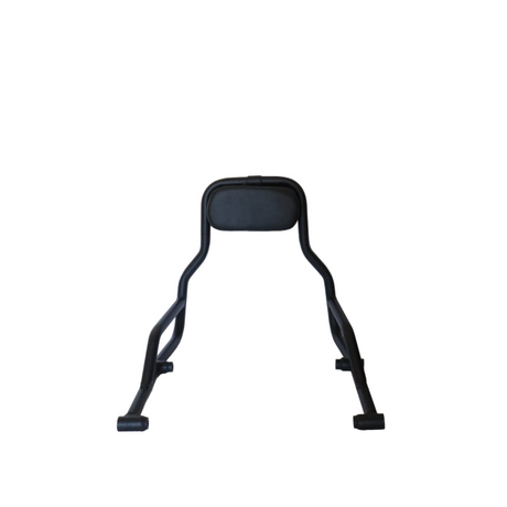 Pipe Backrest for Harley Davidson X440