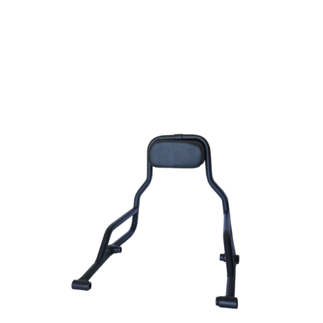 Pipe Backrest for Harley Davidson X440