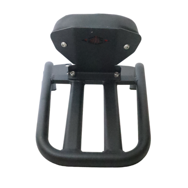 Pipe Carrier with Backrest for Yamaha FZ V3