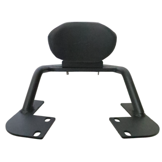 Pipe Carrier with Backrest for Yamaha FZ V3