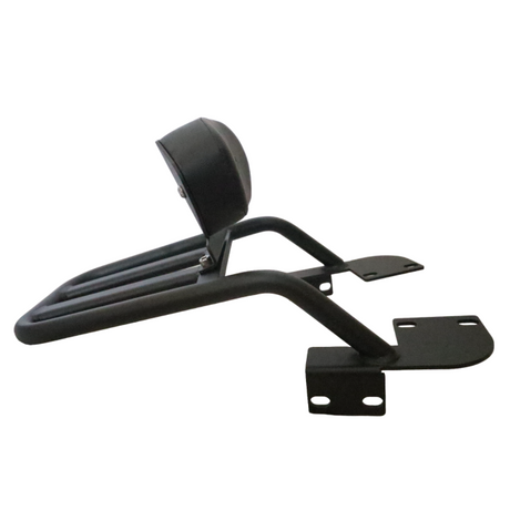 Pipe Carrier with Backrest for Yamaha FZ V3