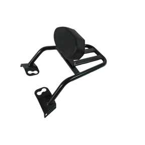 Pipe Carrier with Plate & Backrest for Bajaj Dominar 400