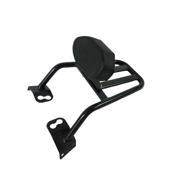Pipe Carrier with Plate & Backrest for Bajaj Dominar 400