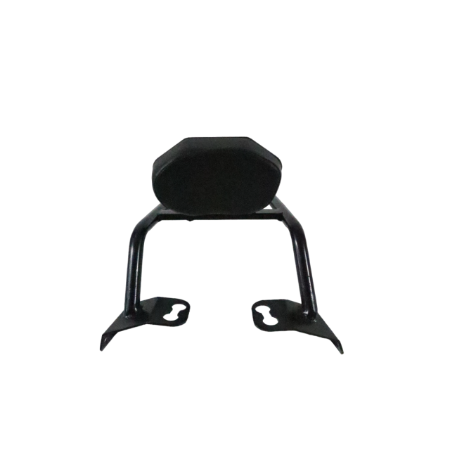 Pipe Carrier with Plate & Backrest for Bajaj Dominar 400 1