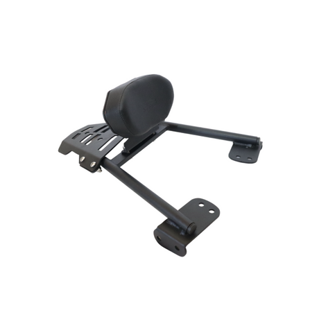 Plate Carrier with Backrest for KTM Duke 200/390 BS4